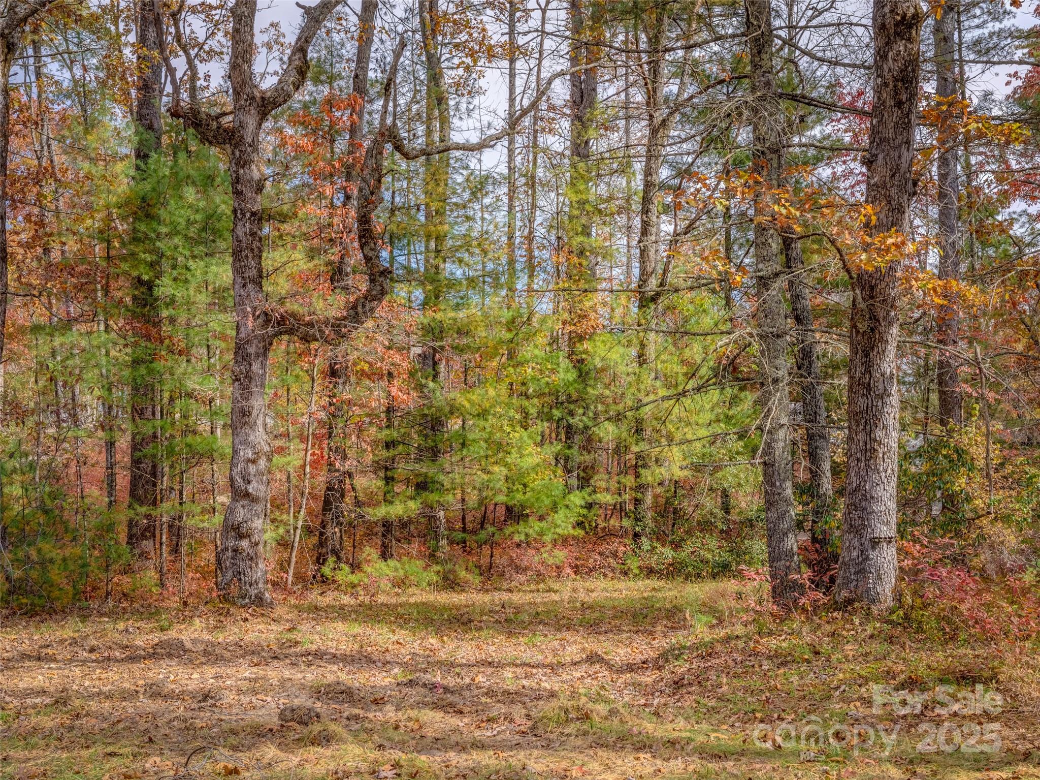 Lot 2-a Clearview Drive Cedar Mountain NC 28718