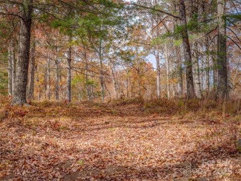 Lot 2-a Clearview Drive Cedar Mountain NC 28718