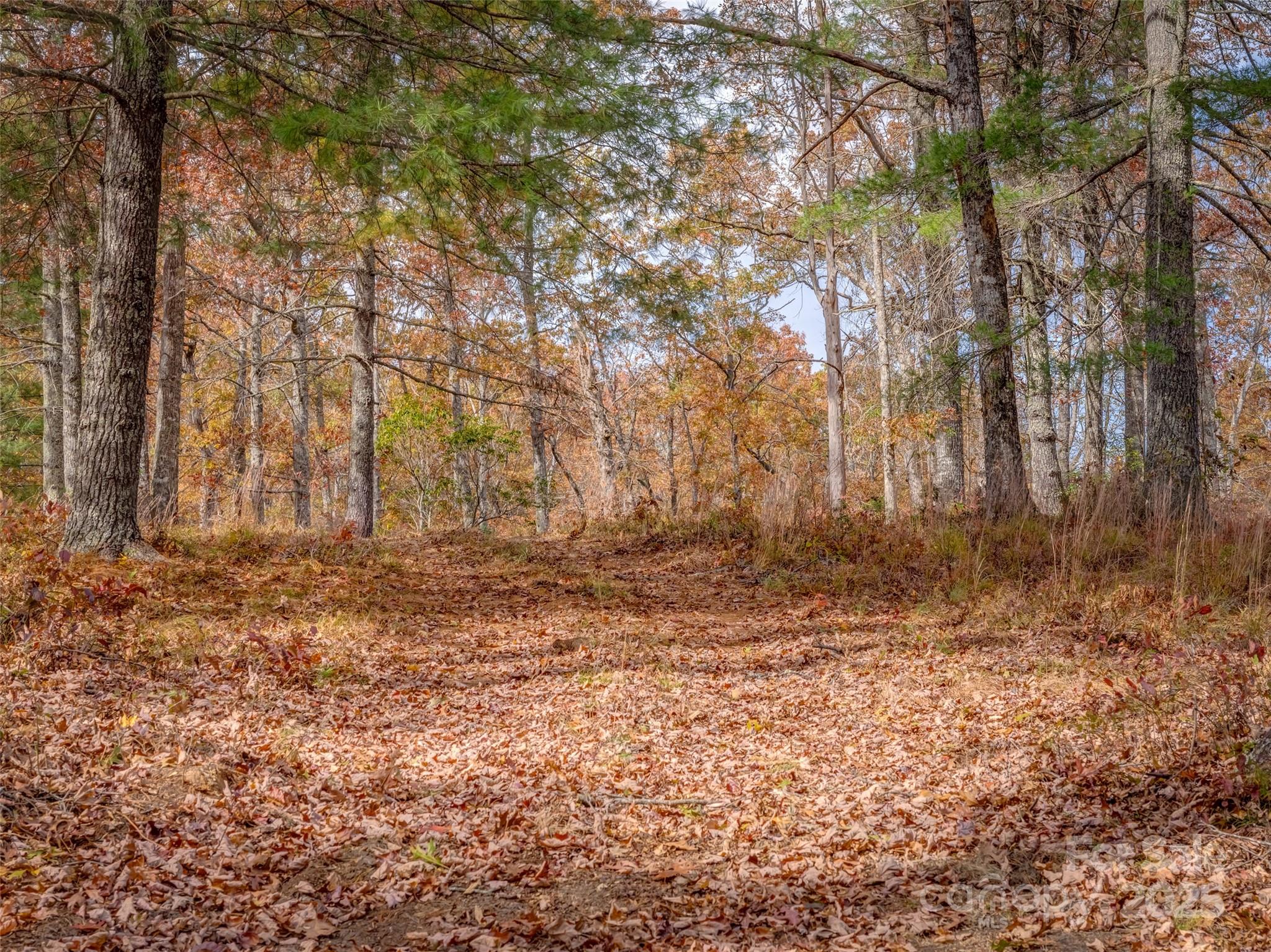 Lot 2-a Clearview Drive Cedar Mountain NC 28718