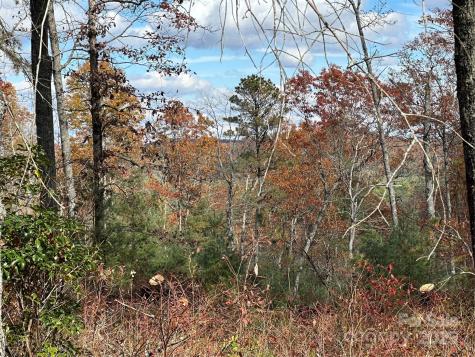 Lot 2-a Clearview Drive Cedar Mountain NC 28718