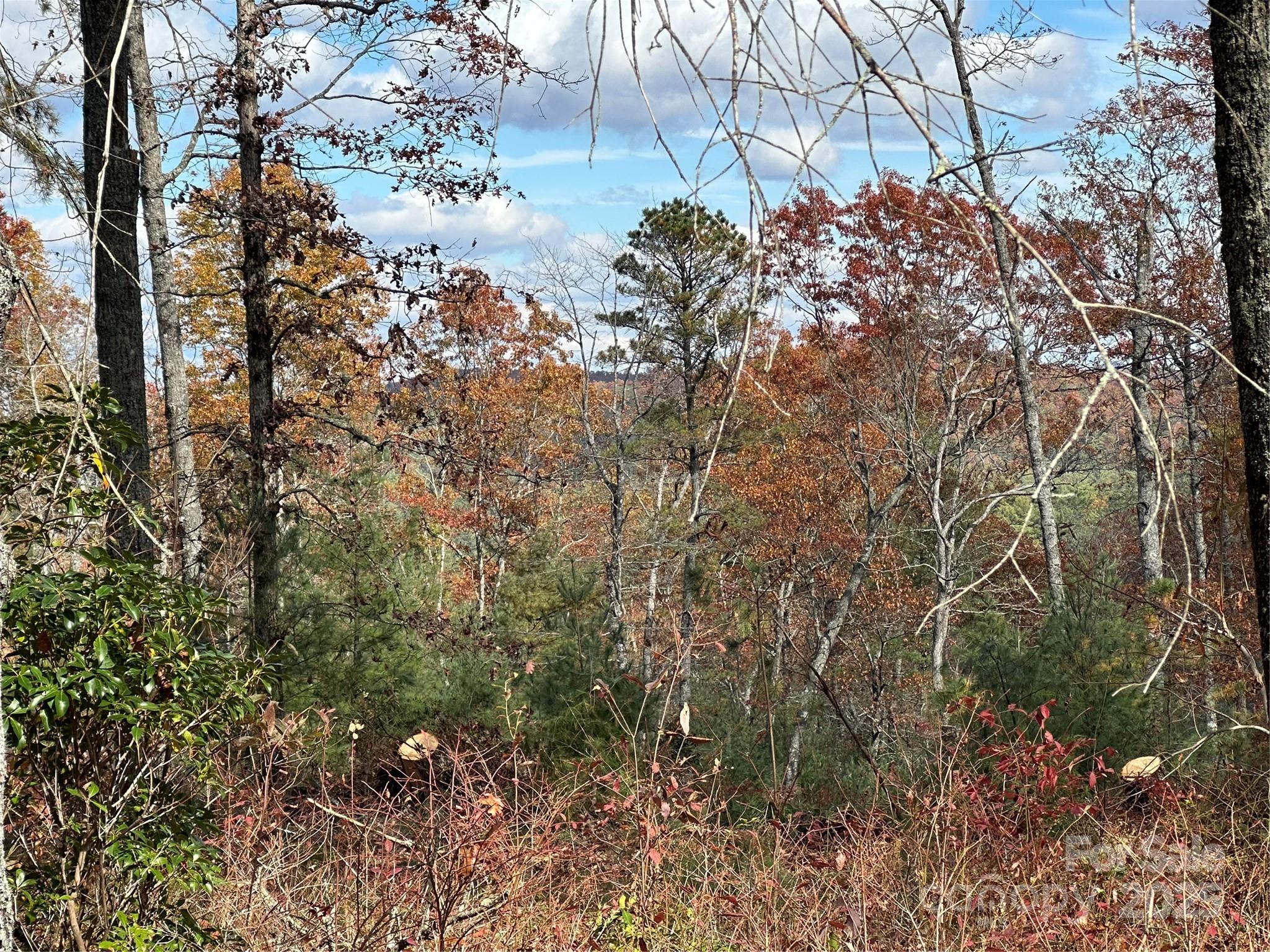 Lot 2-a Clearview Drive Cedar Mountain NC 28718