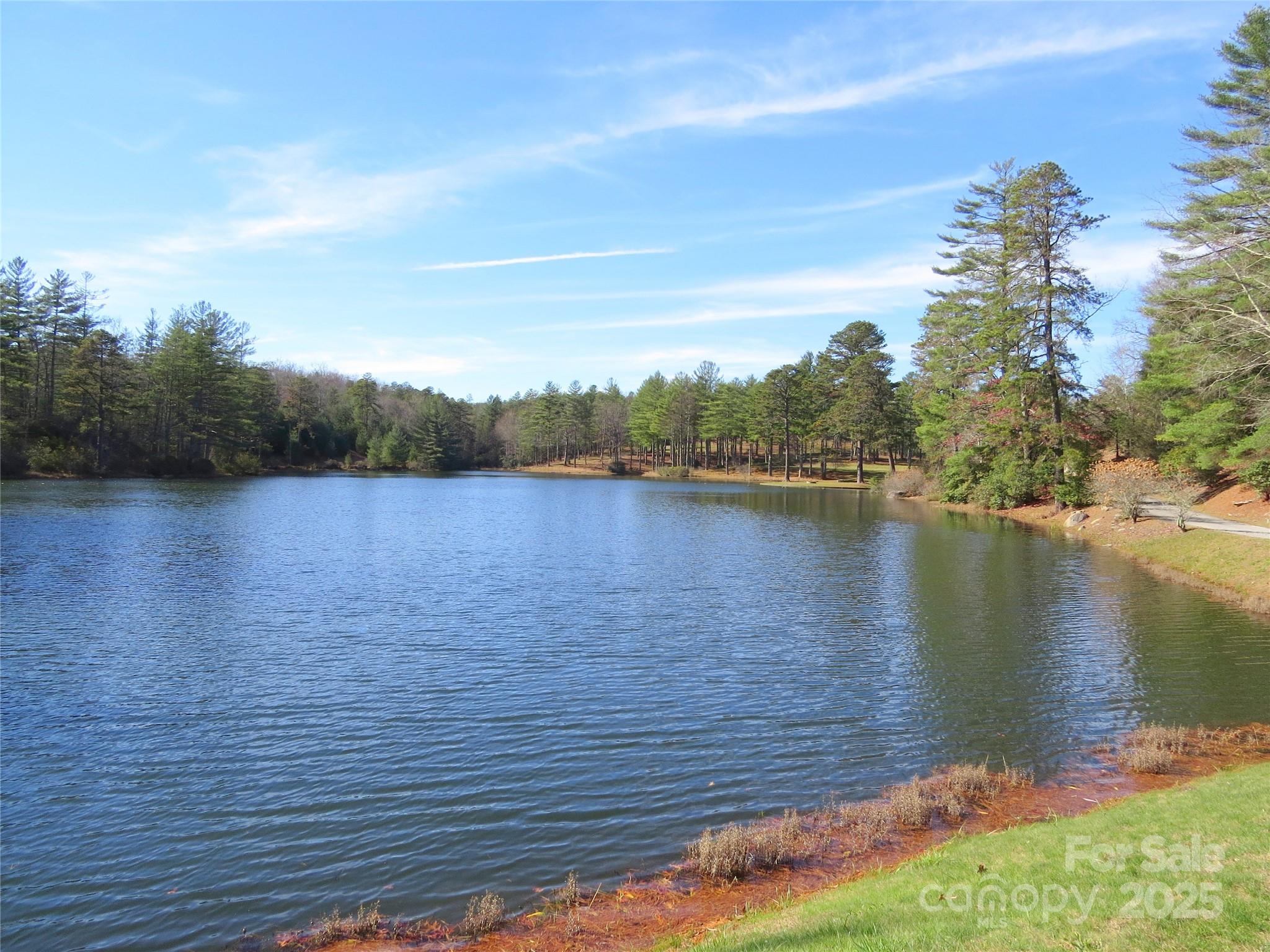 Lot 2-a Clearview Drive Cedar Mountain NC 28718