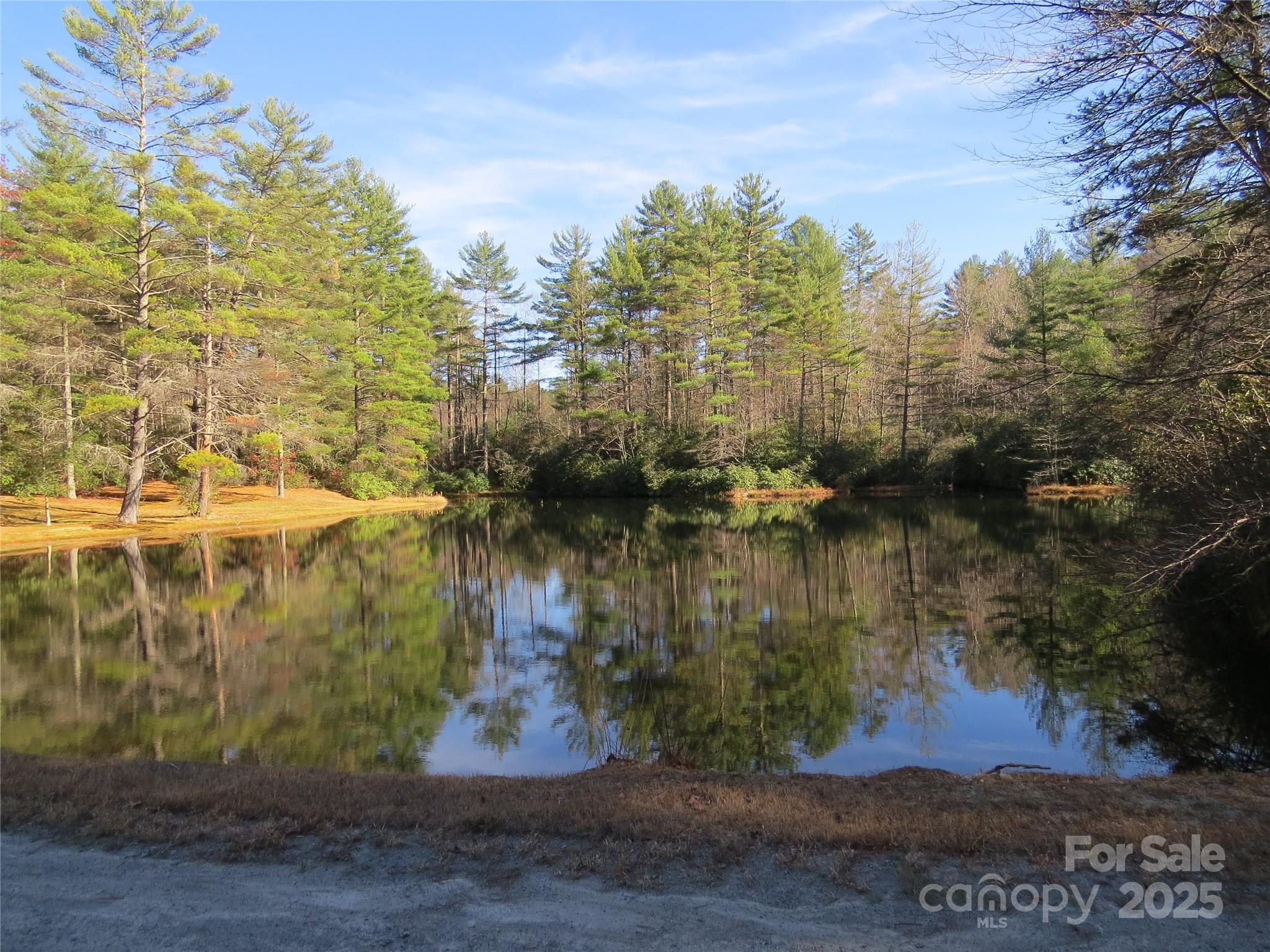 Lot 2-a Clearview Drive Cedar Mountain NC 28718