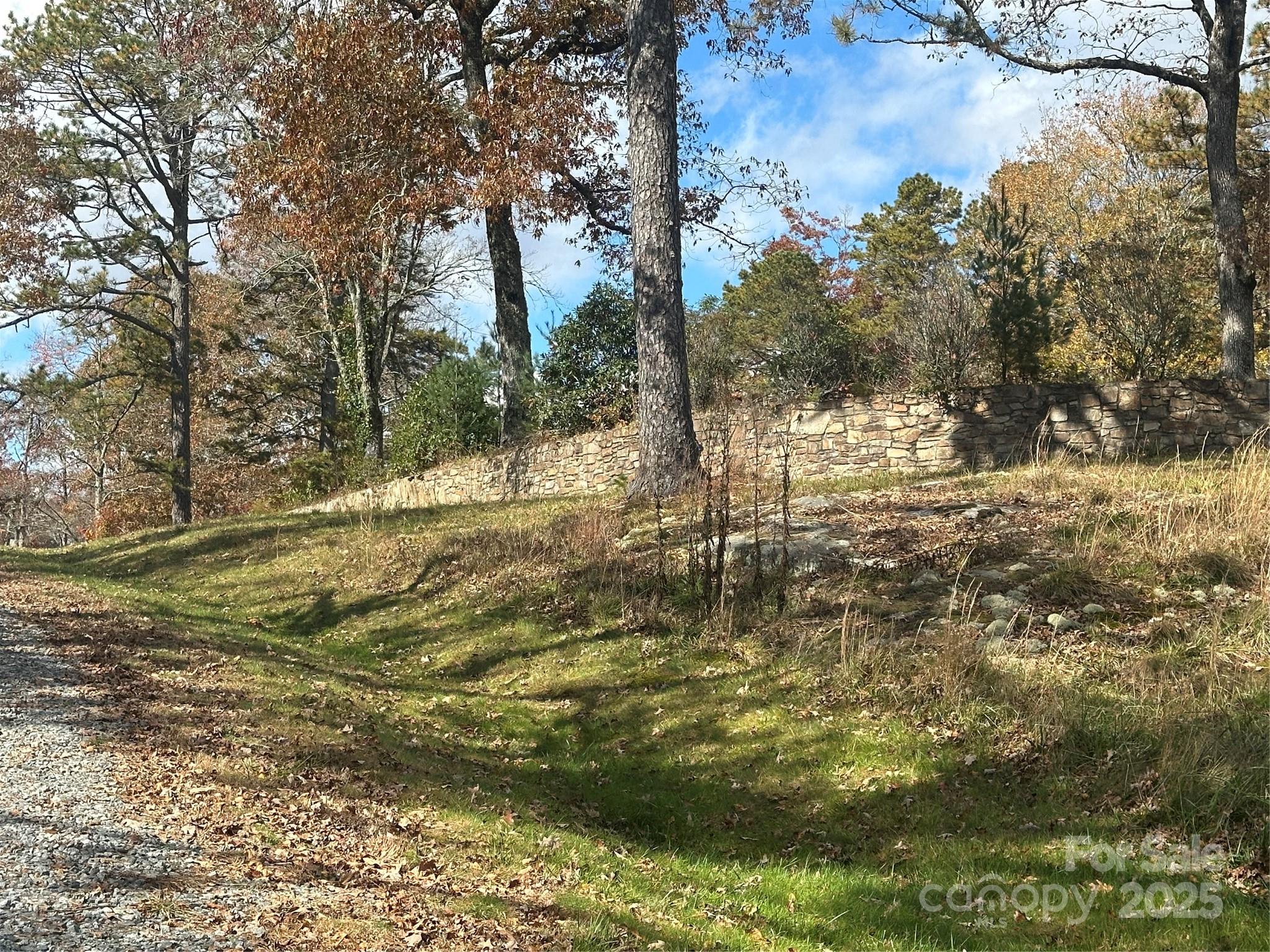 Lot 2-a Clearview Drive Cedar Mountain NC 28718