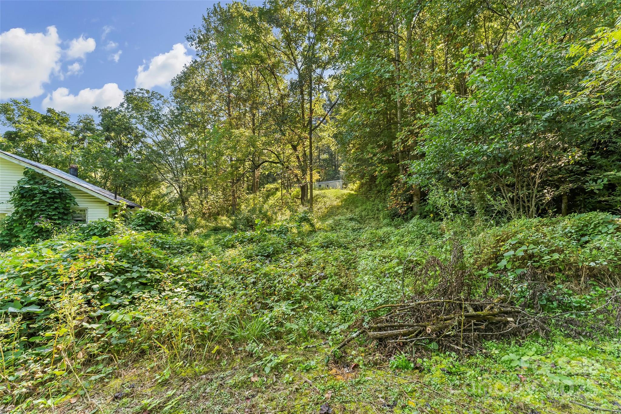 719 & 899 Mchone Drive Old Fort NC 28762