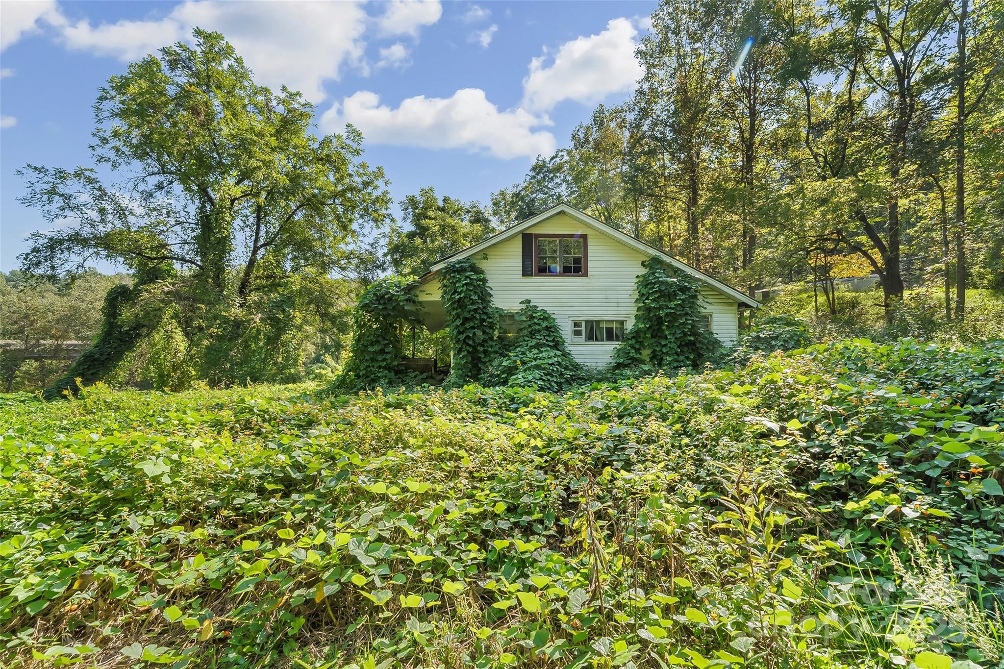 719 & 899 Mchone Drive Old Fort NC 28762