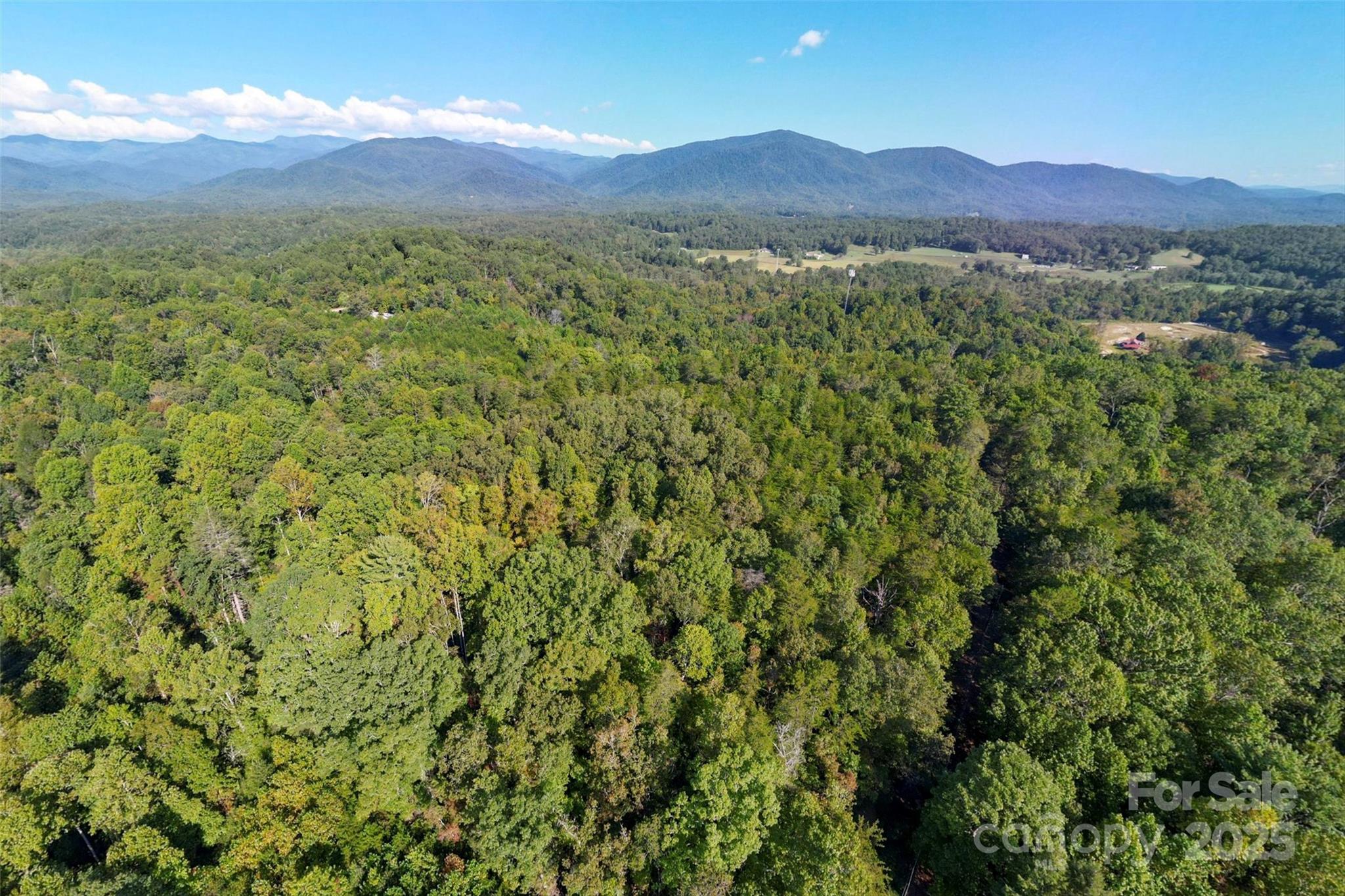 719 & 899 Mchone Drive Old Fort NC 28762