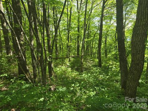 000 Greenspire Road Sylva NC 28779