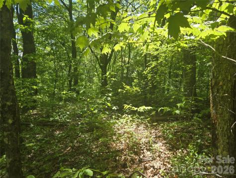 000 Greenspire Road Sylva NC 28779