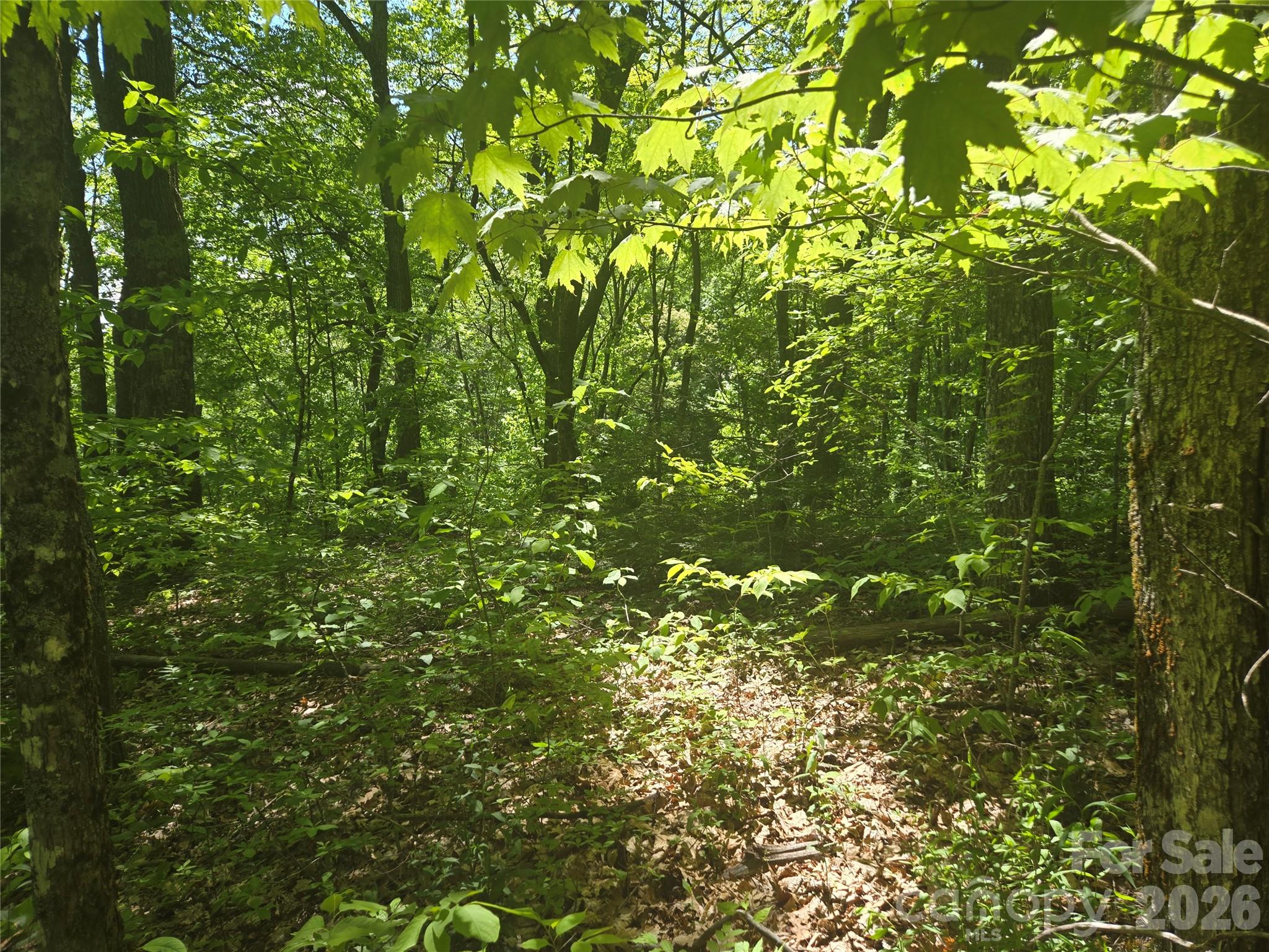 000 Greenspire Road Sylva NC 28779