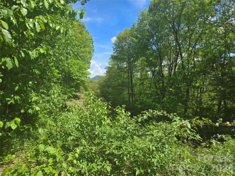 000 Greenspire Road Sylva NC 28779