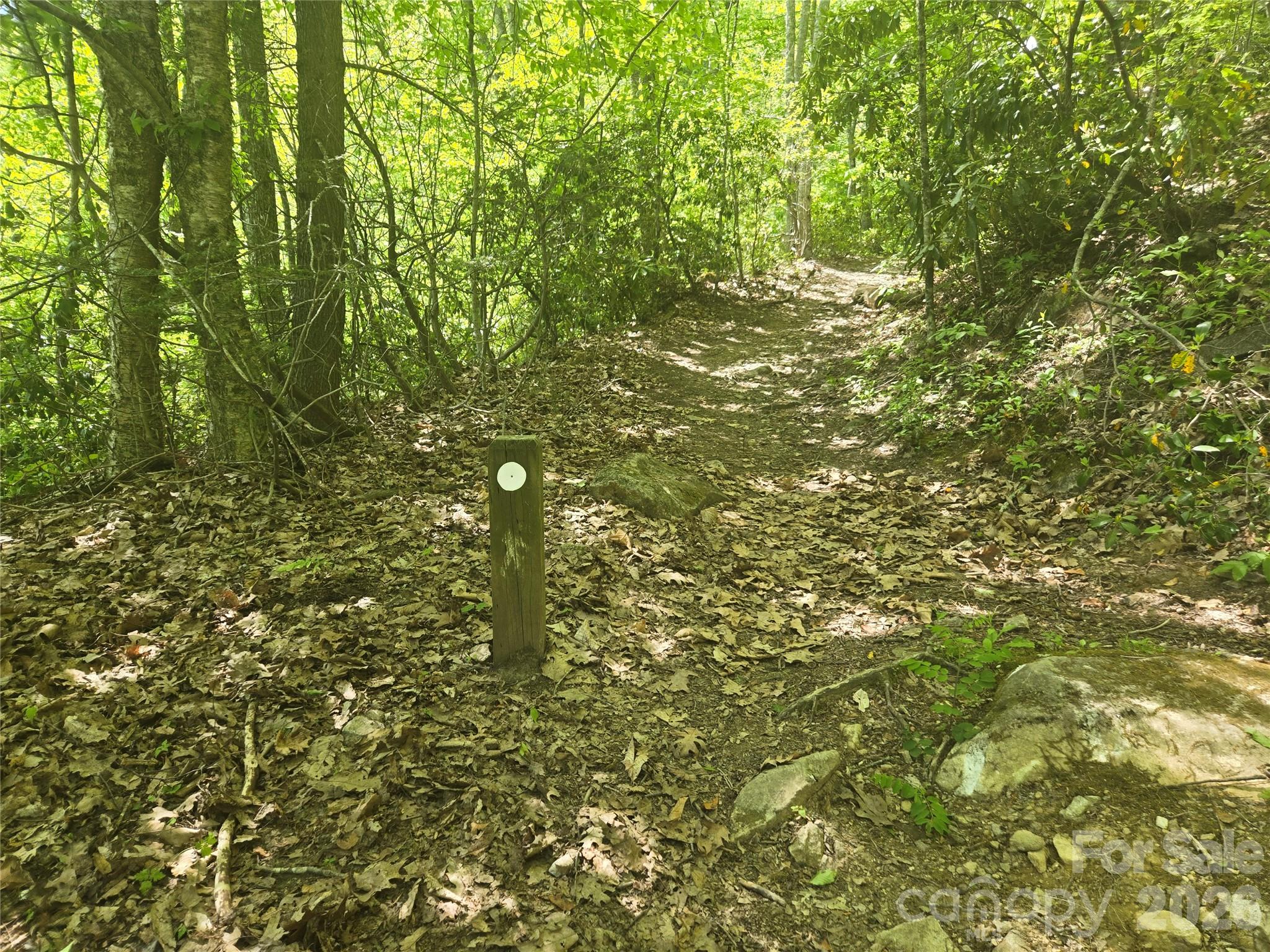 000 Greenspire Road Sylva NC 28779