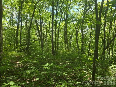 000 Greenspire Road Sylva NC 28779