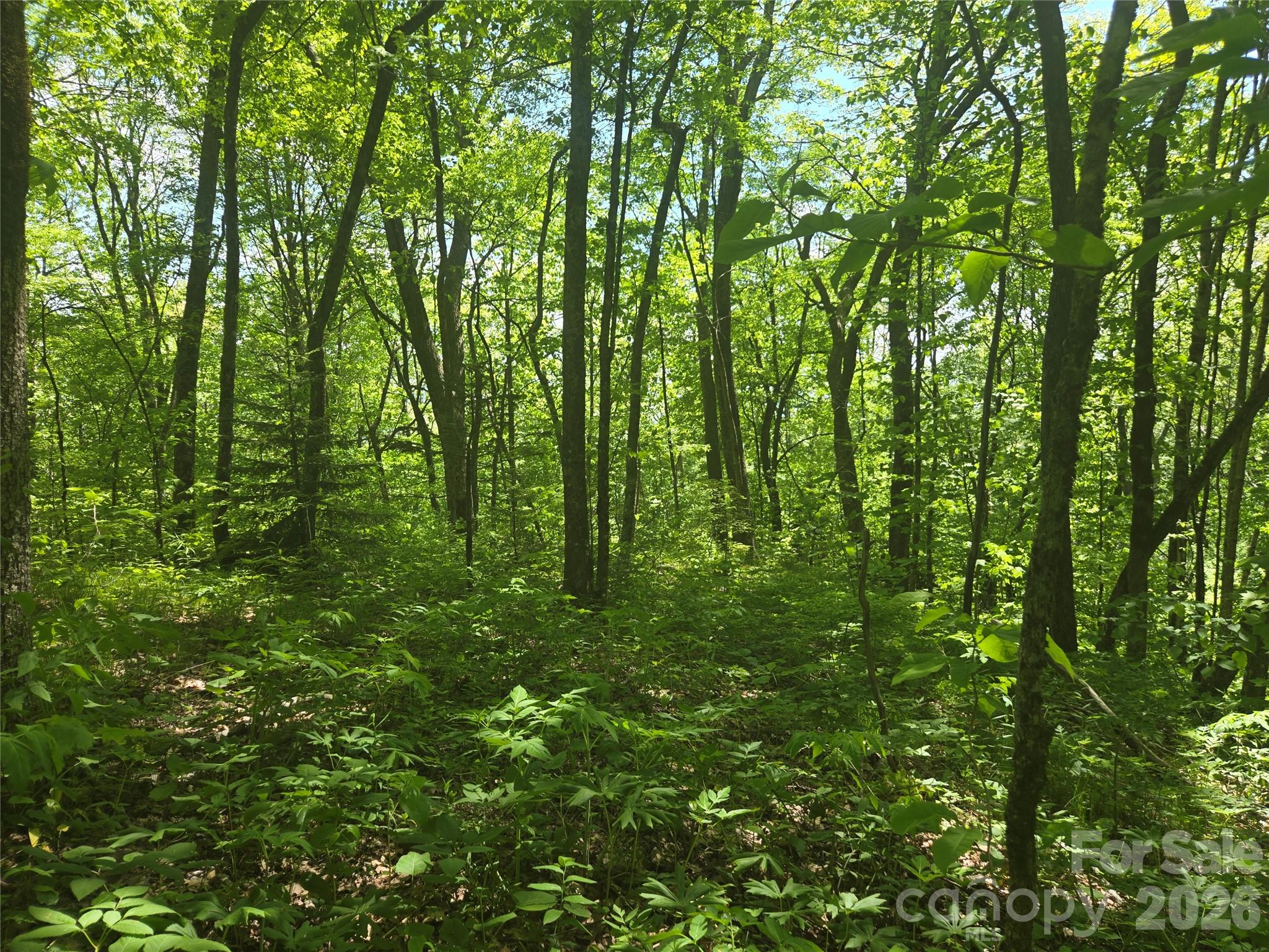 000 Greenspire Road Sylva NC 28779