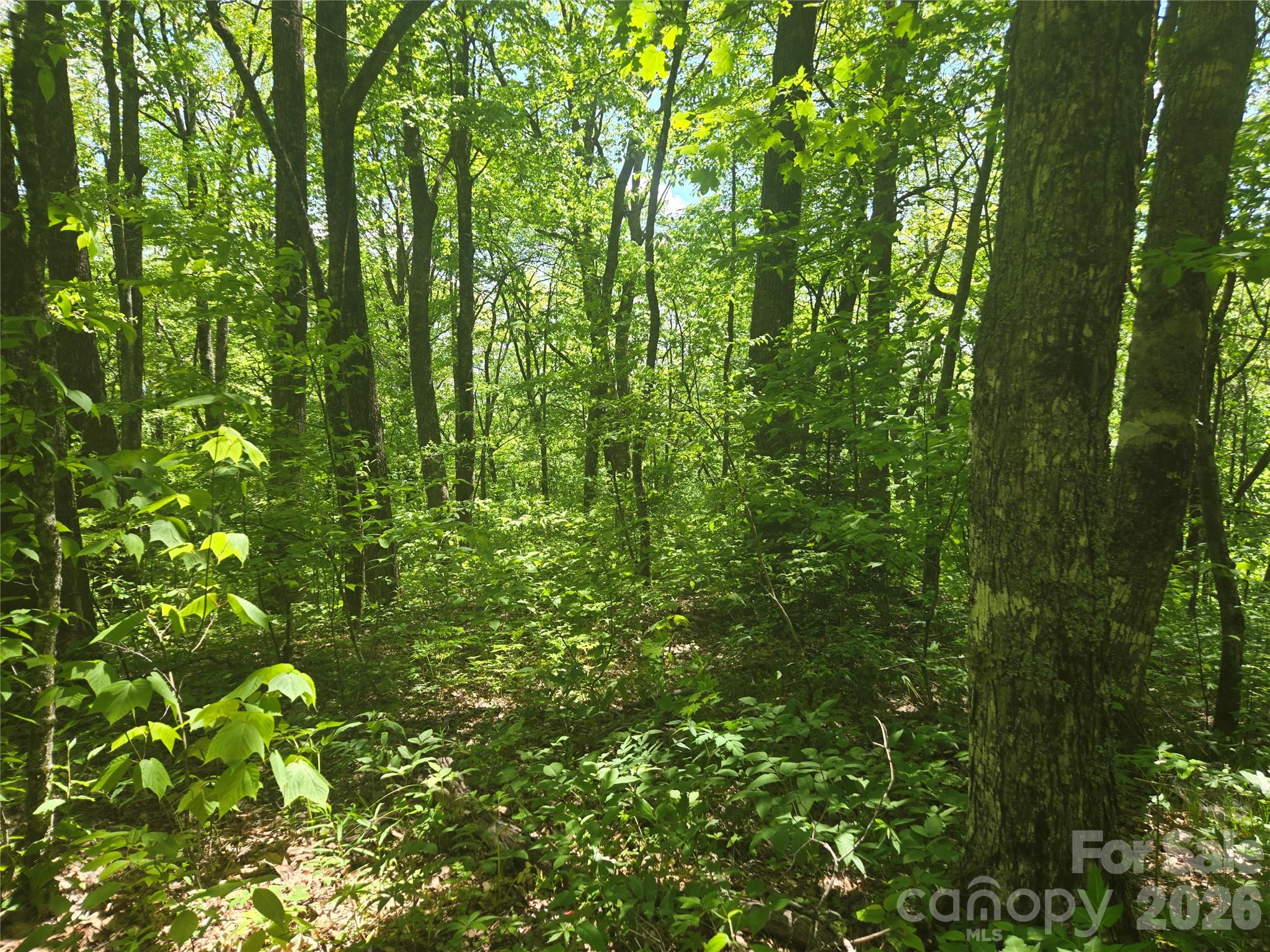 000 Greenspire Road Sylva NC 28779