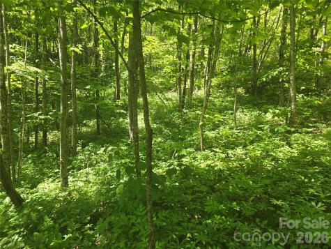 000 Greenspire Road Sylva NC 28779