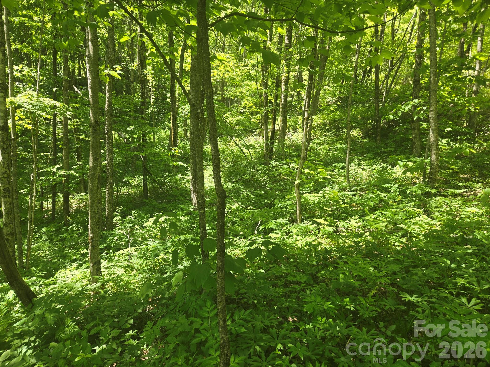 000 Greenspire Road Sylva NC 28779