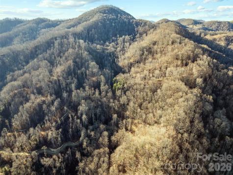 00 Nc 209 Highway Spring Creek NC 28743