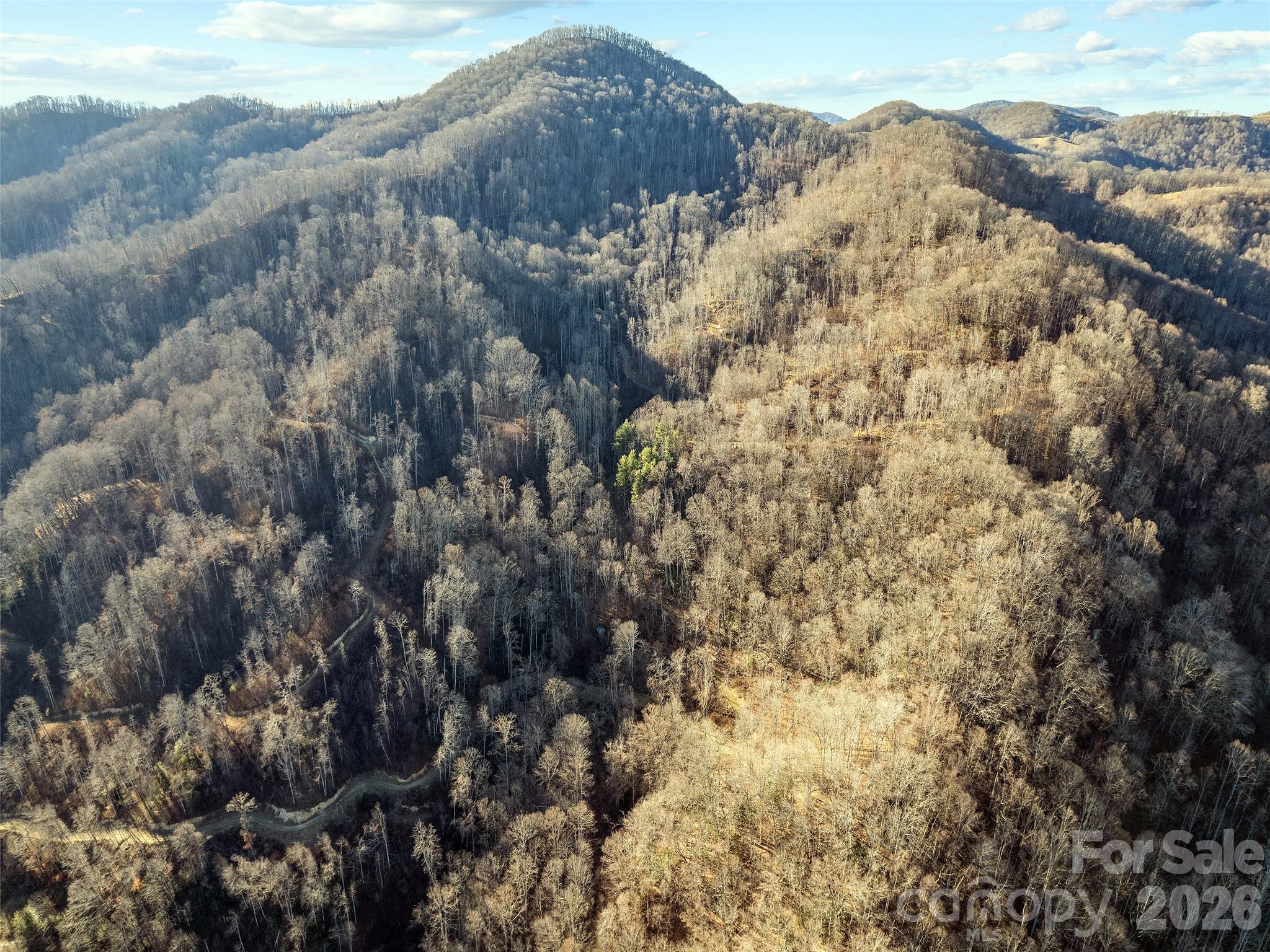 00 Nc 209 Highway Spring Creek NC 28743