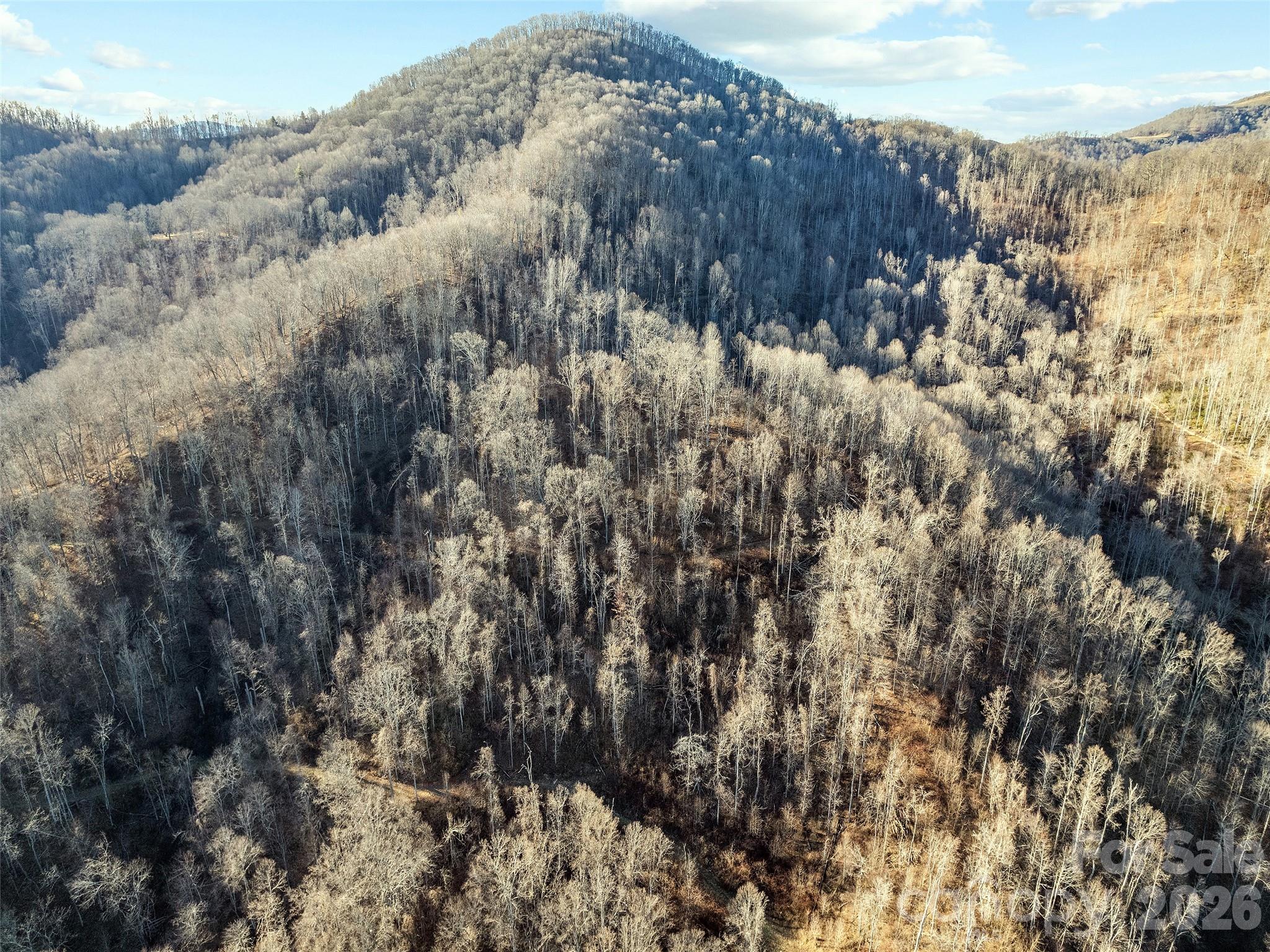 00 Nc 209 Highway Spring Creek NC 28743