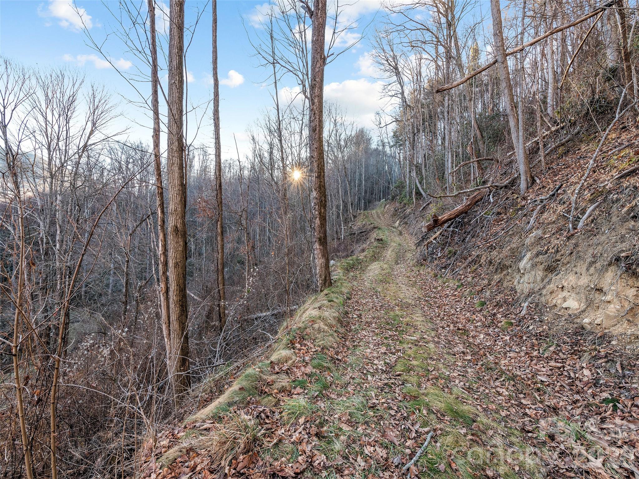 00 Nc 209 Highway Spring Creek NC 28743