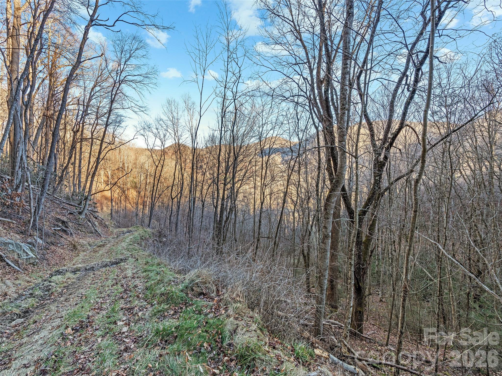 00 Nc 209 Highway Spring Creek NC 28743