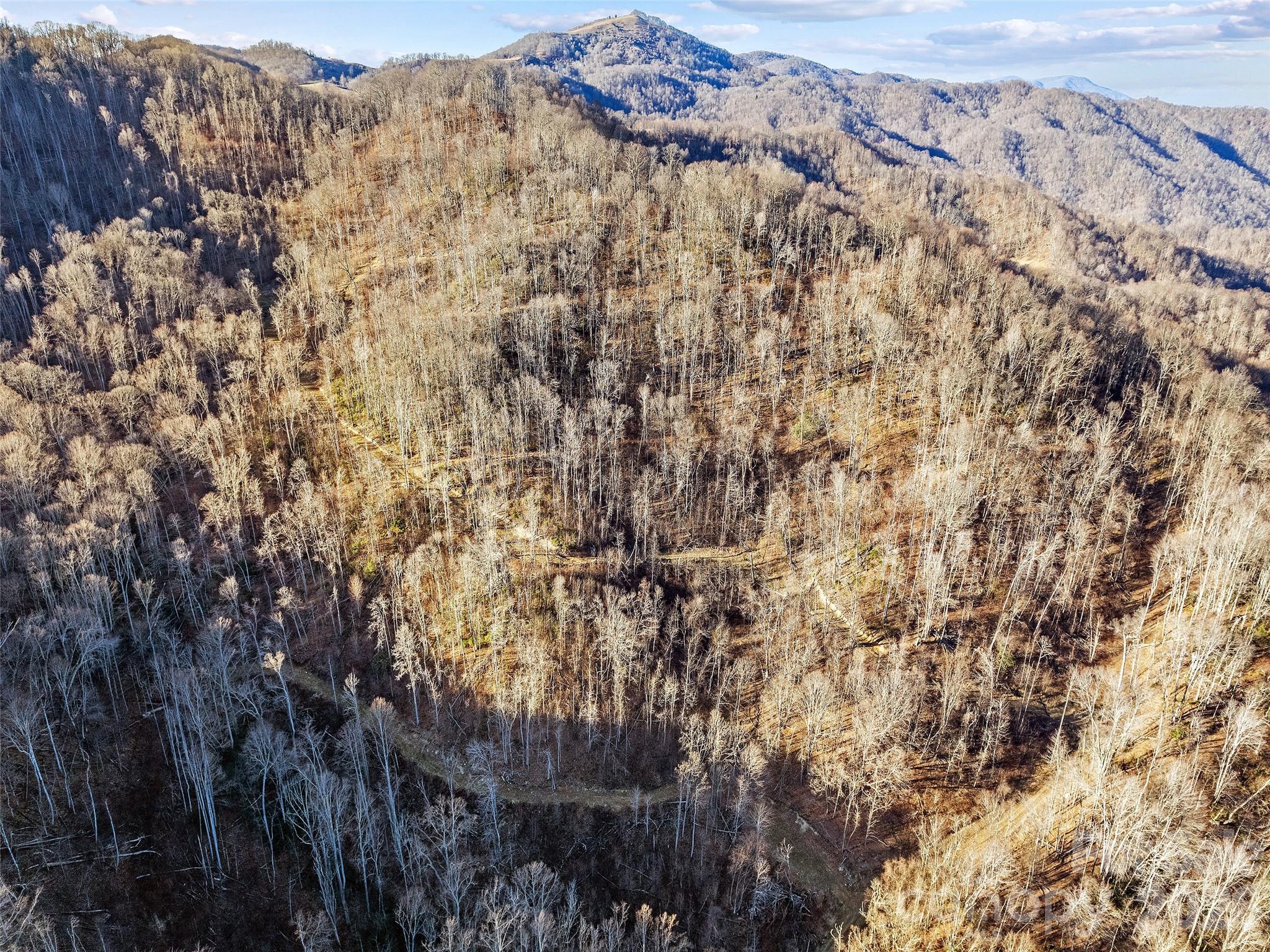 00 Nc 209 Highway Spring Creek NC 28743
