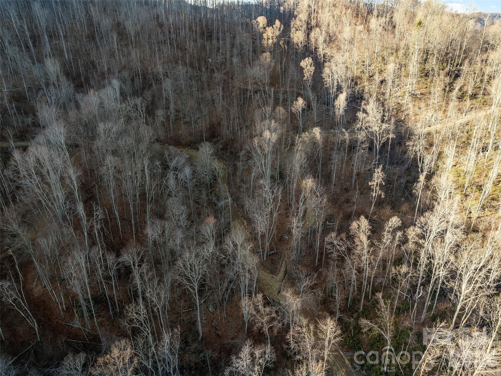 00 Nc 209 Highway Spring Creek NC 28743