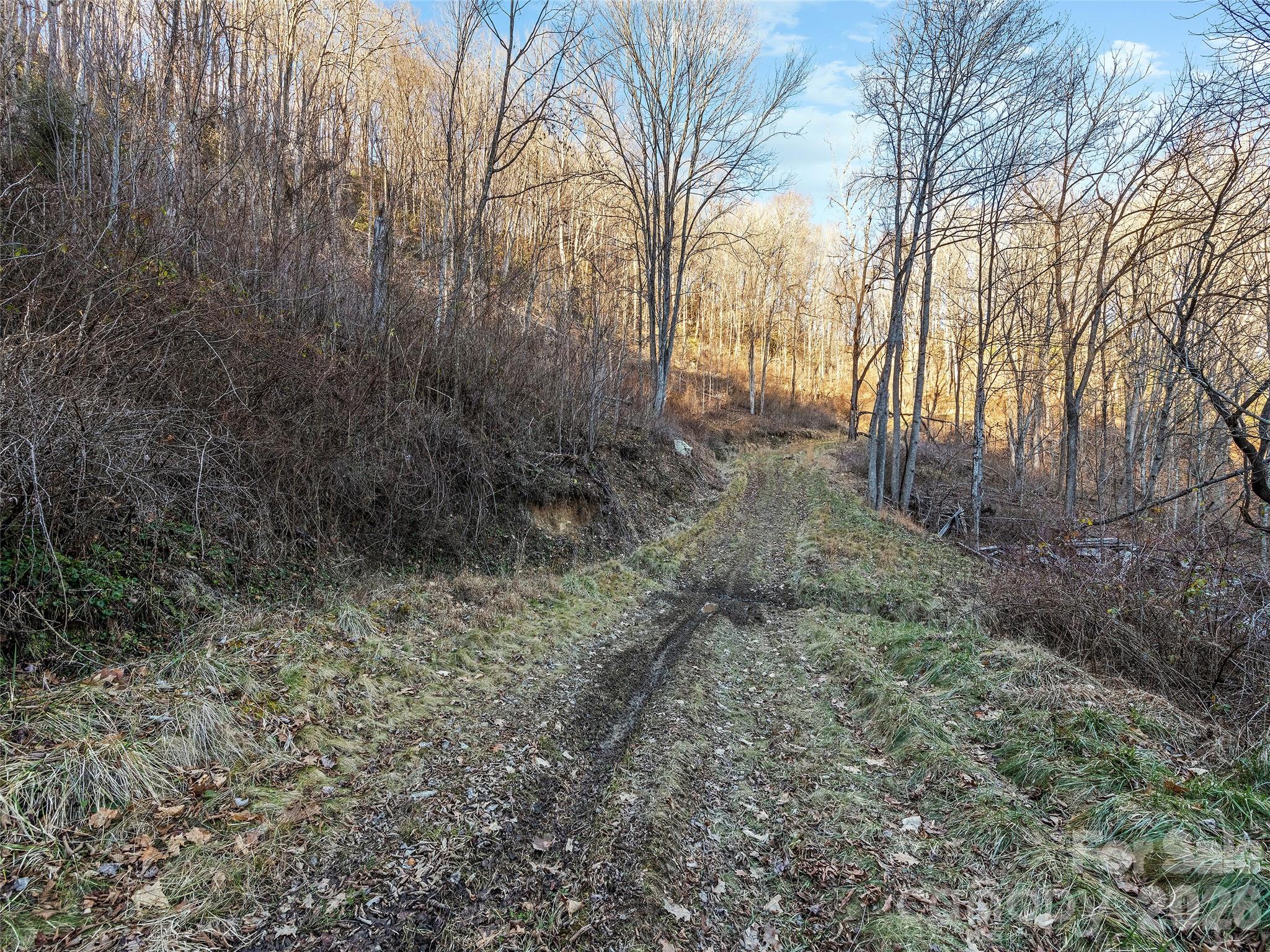 00 Nc 209 Highway Spring Creek NC 28743
