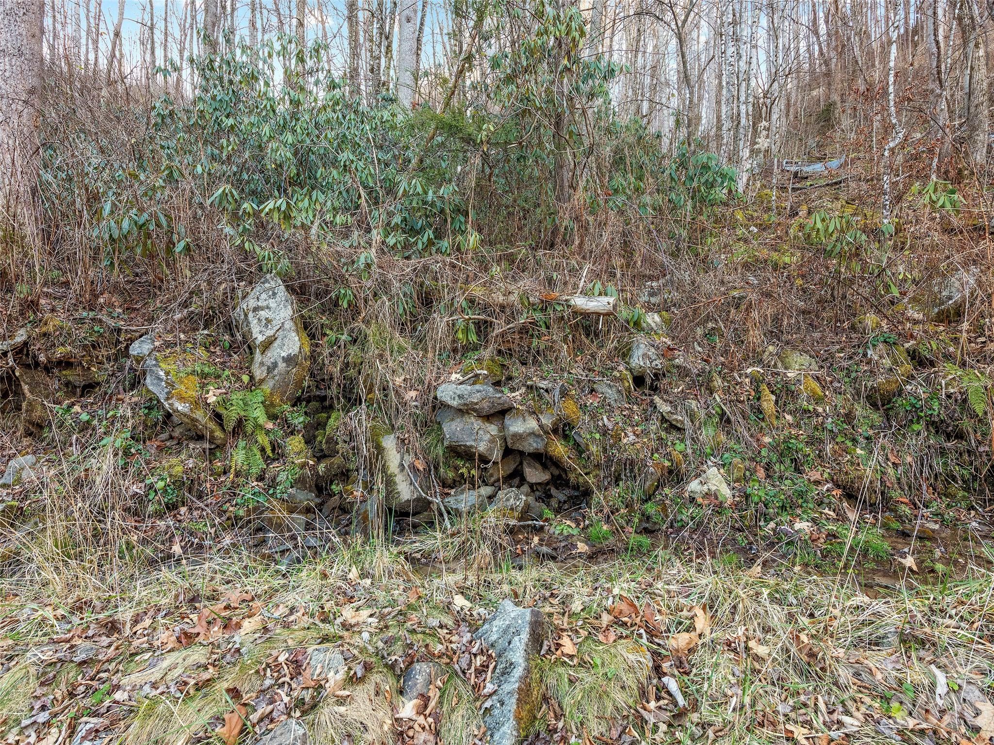 00 Nc 209 Highway Spring Creek NC 28743
