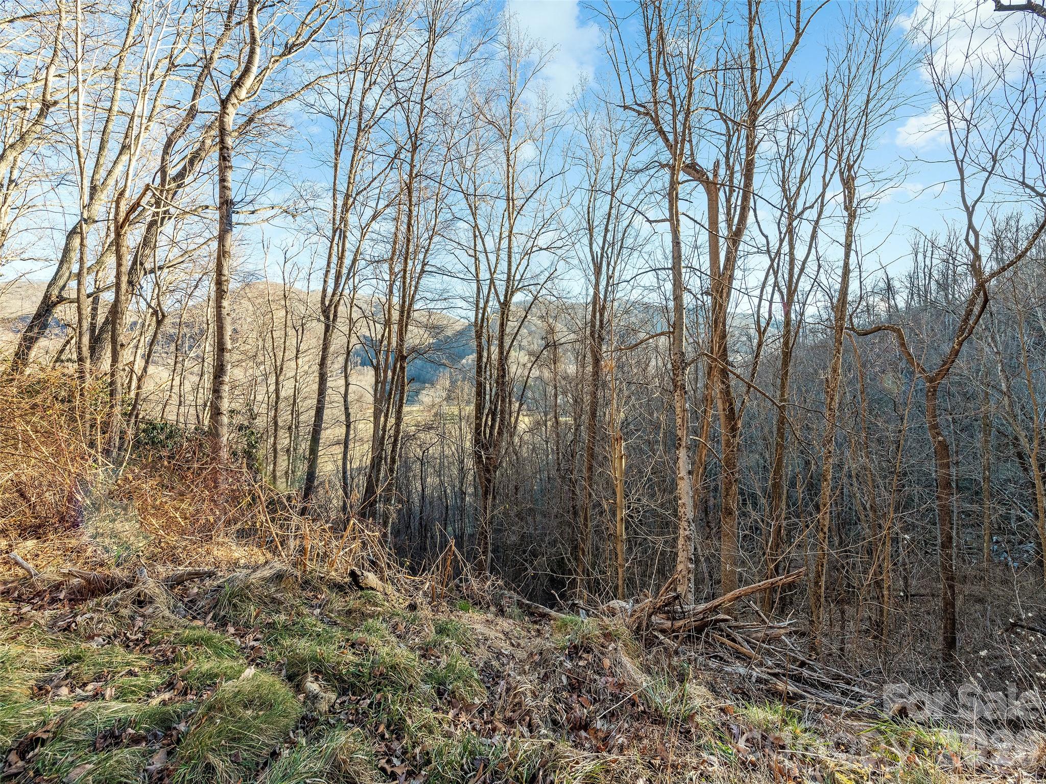 00 Nc 209 Highway Spring Creek NC 28743