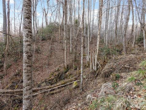 00 Nc 209 Highway Spring Creek NC 28743