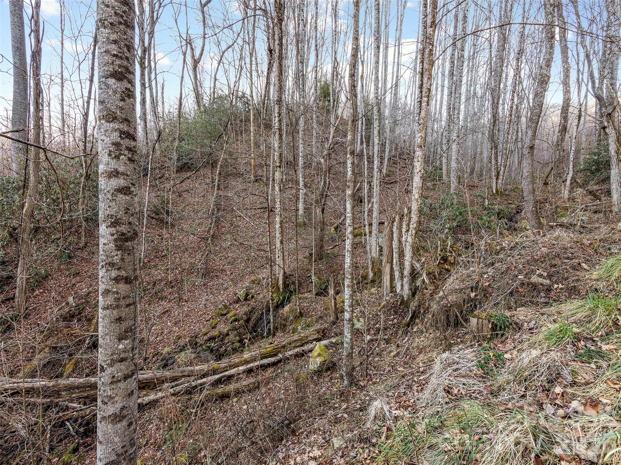 00 Nc 209 Highway Spring Creek NC 28743
