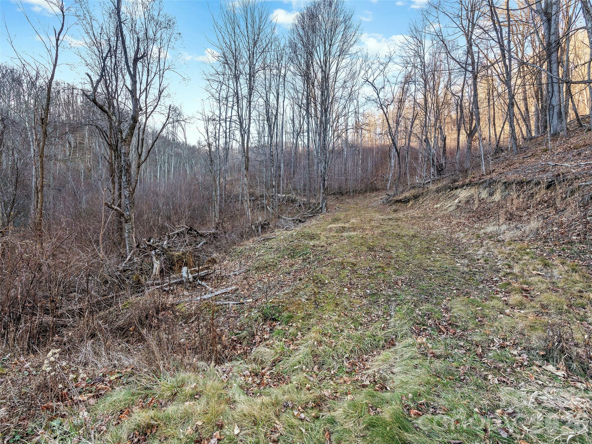 00 Nc 209 Highway Spring Creek NC 28743
