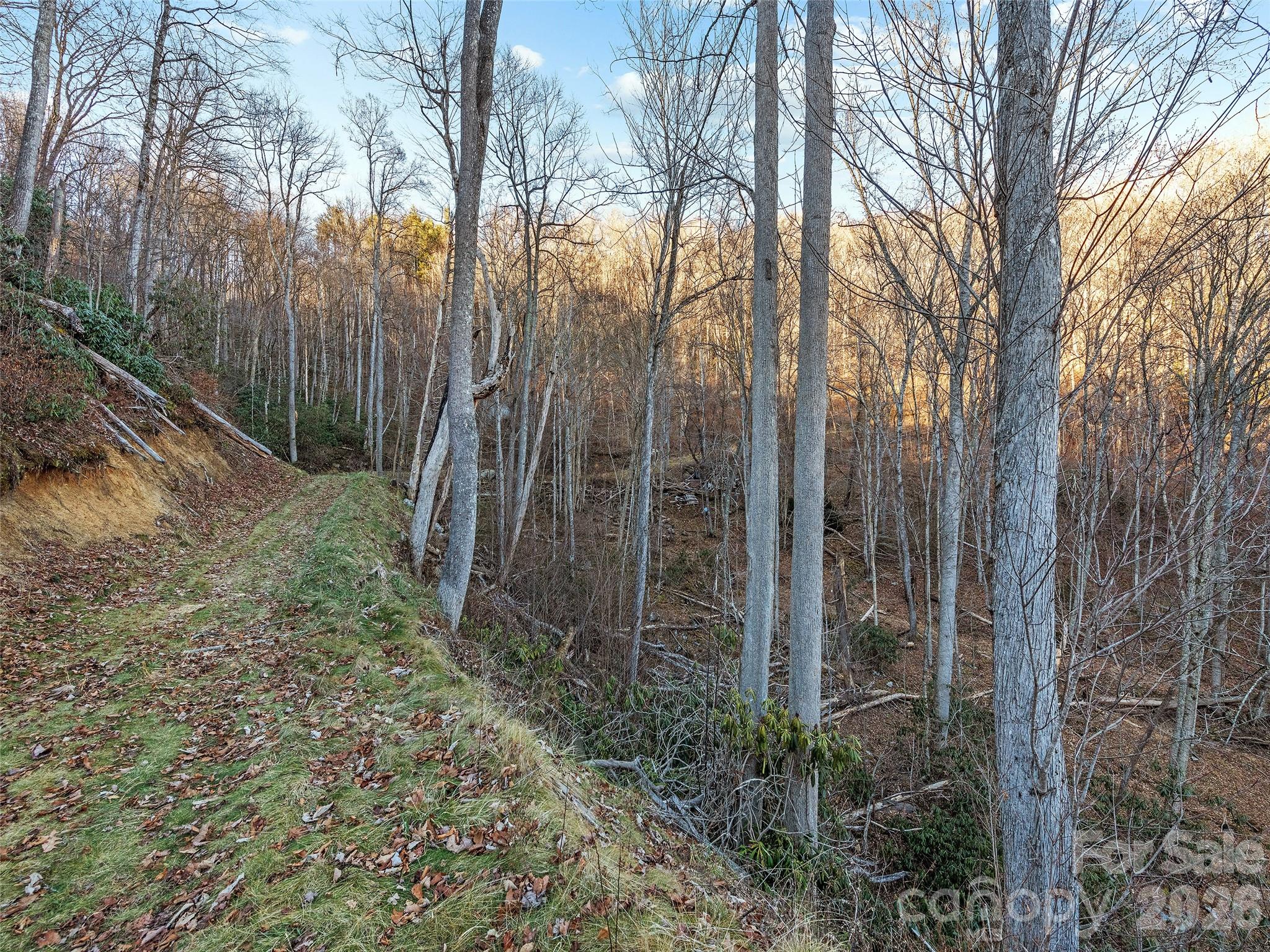 00 Nc 209 Highway Spring Creek NC 28743