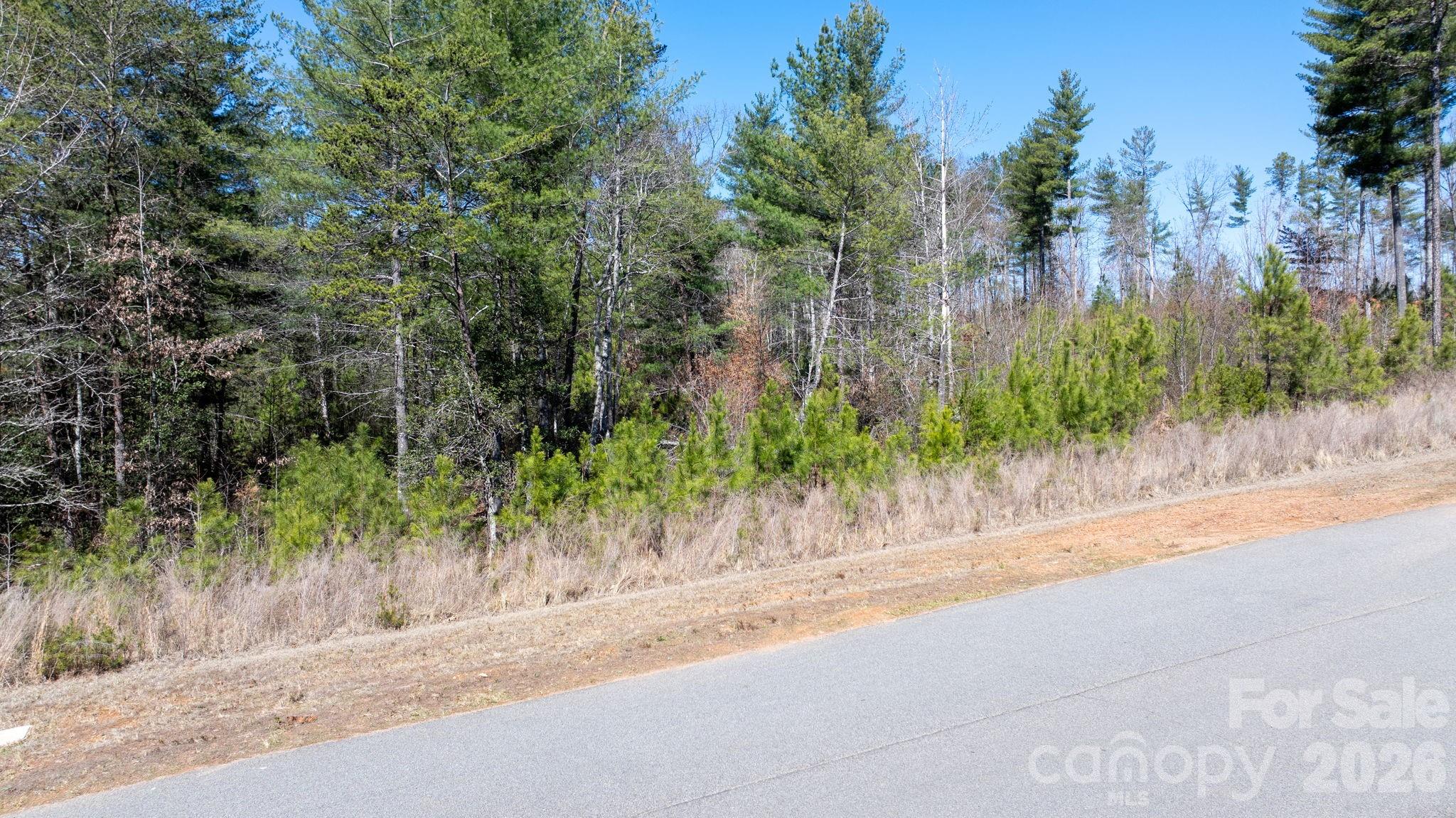 0 Scenic Lane Granite Falls NC 28630