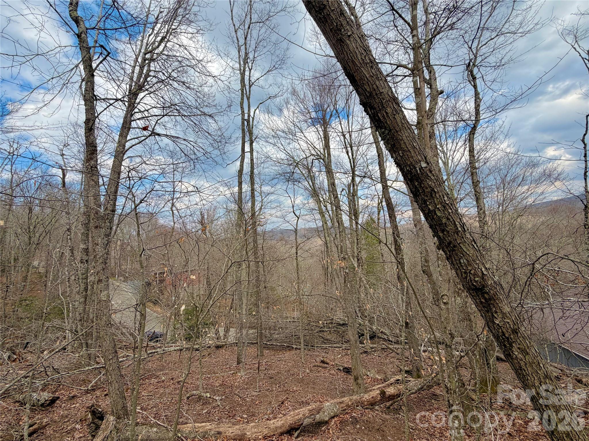 218 Lake Road Beech Mountain NC 28604