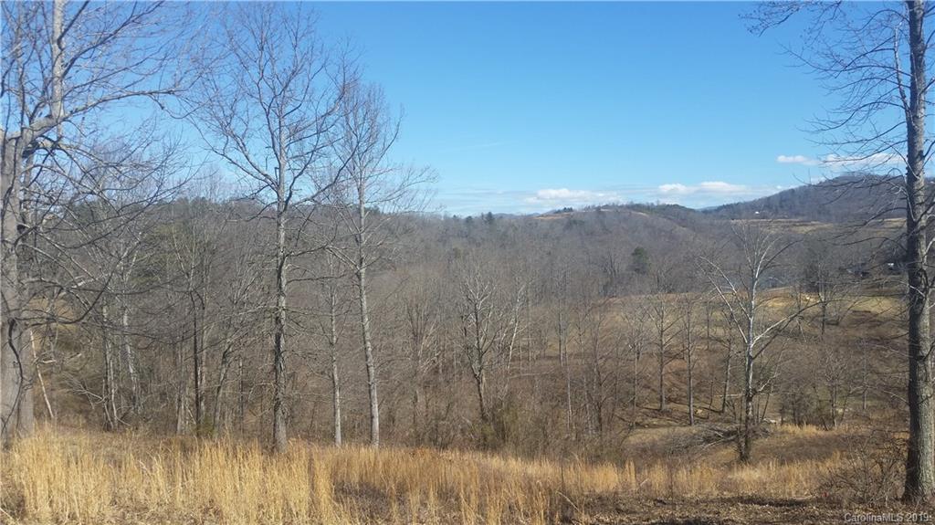 23 Olivette Crossing Parkway Asheville NC 28804