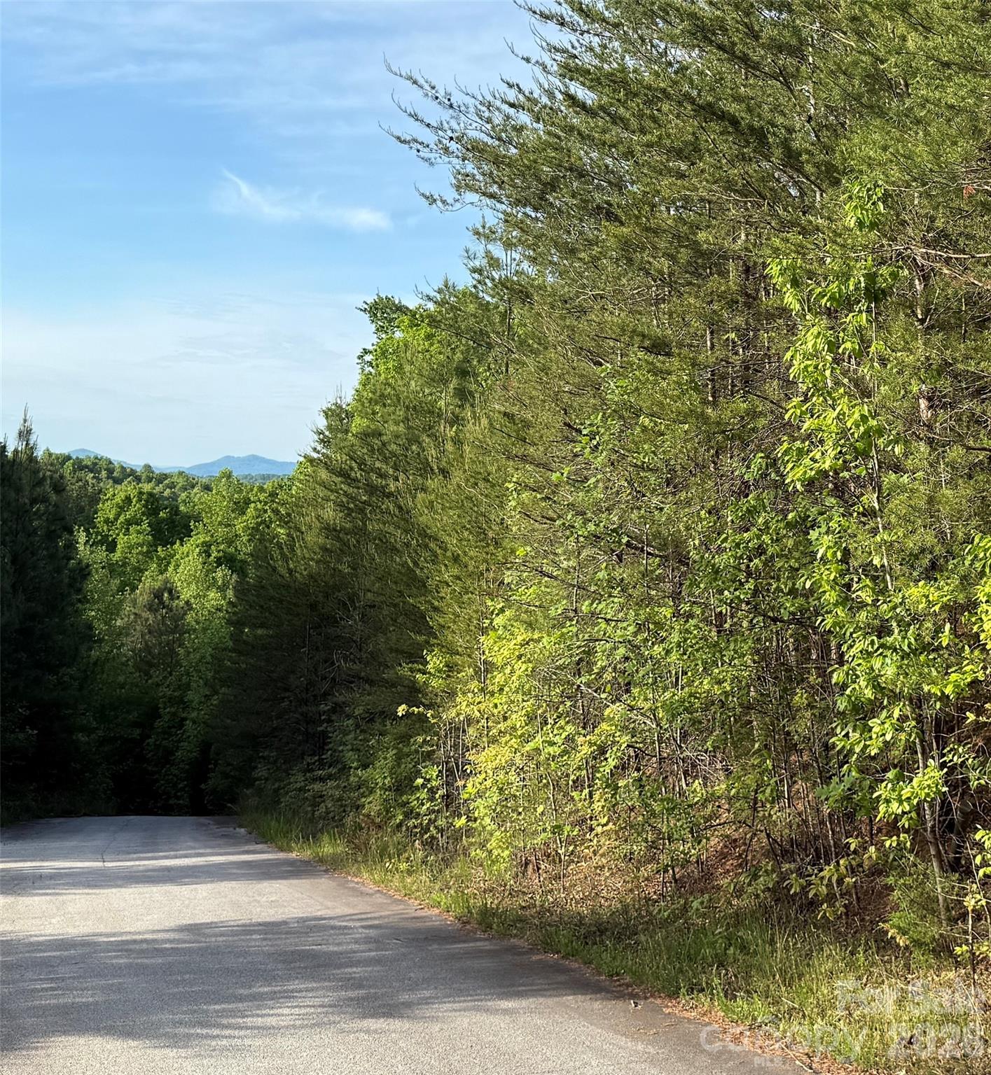 0 Shenandoah Drive Spindale NC 28160