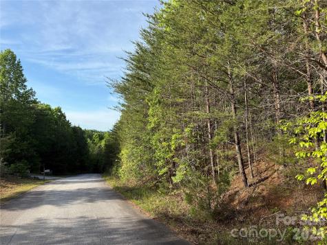0 Shenandoah Drive Spindale NC 28160
