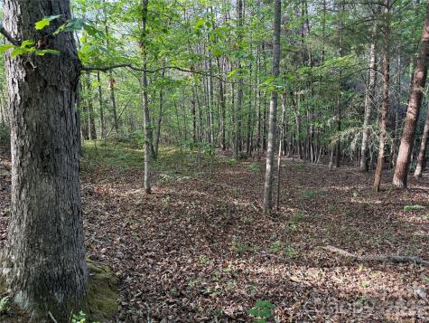 0 Shenandoah Drive Spindale NC 28160