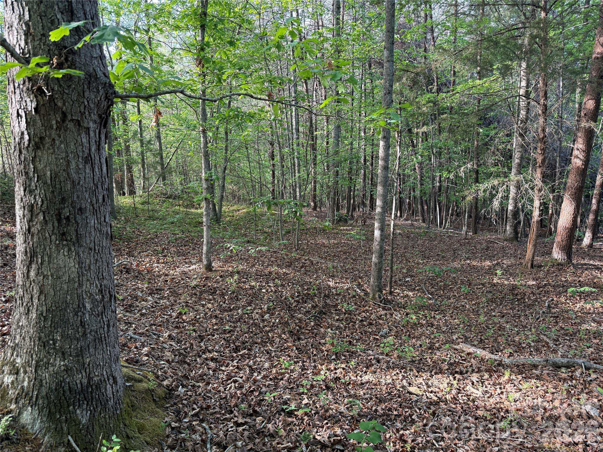 0 Shenandoah Drive Spindale NC 28160