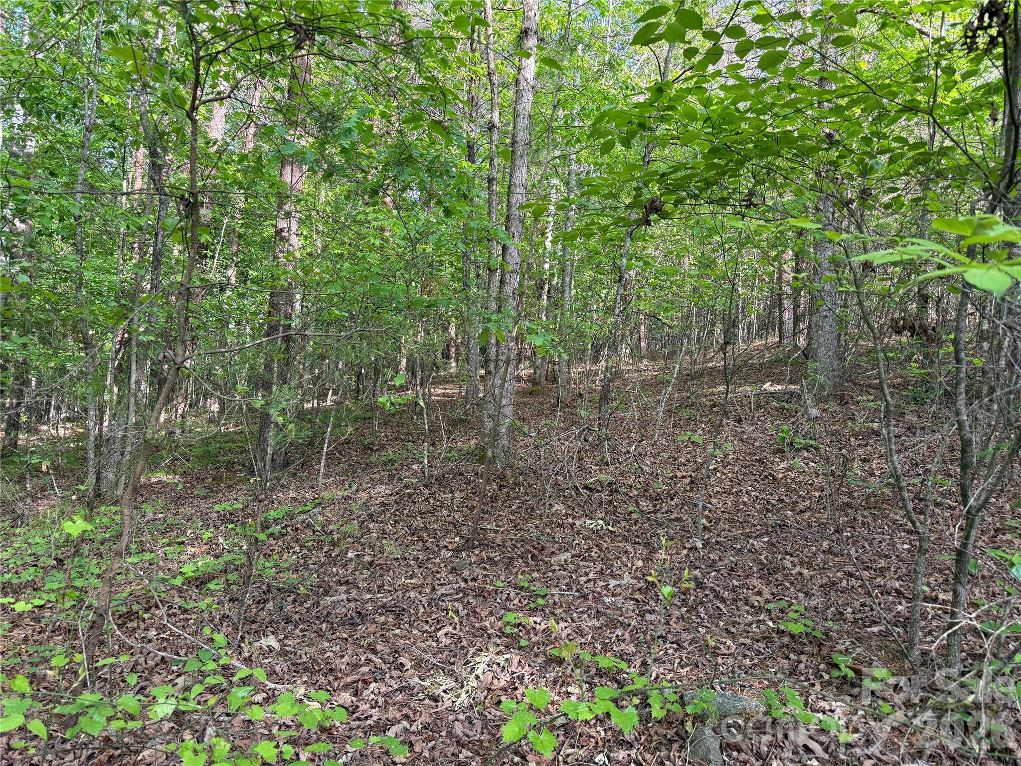 0 Shenandoah Drive Spindale NC 28160