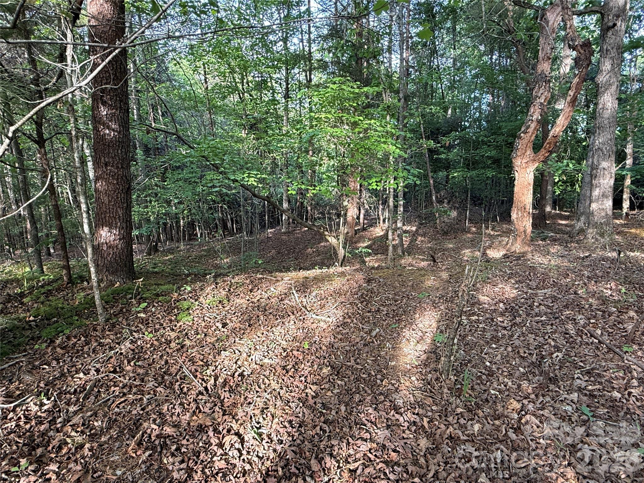 0 Shenandoah Drive Spindale NC 28160