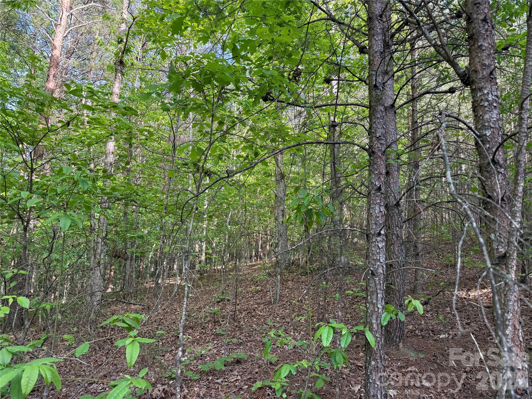0 Shenandoah Drive Spindale NC 28160