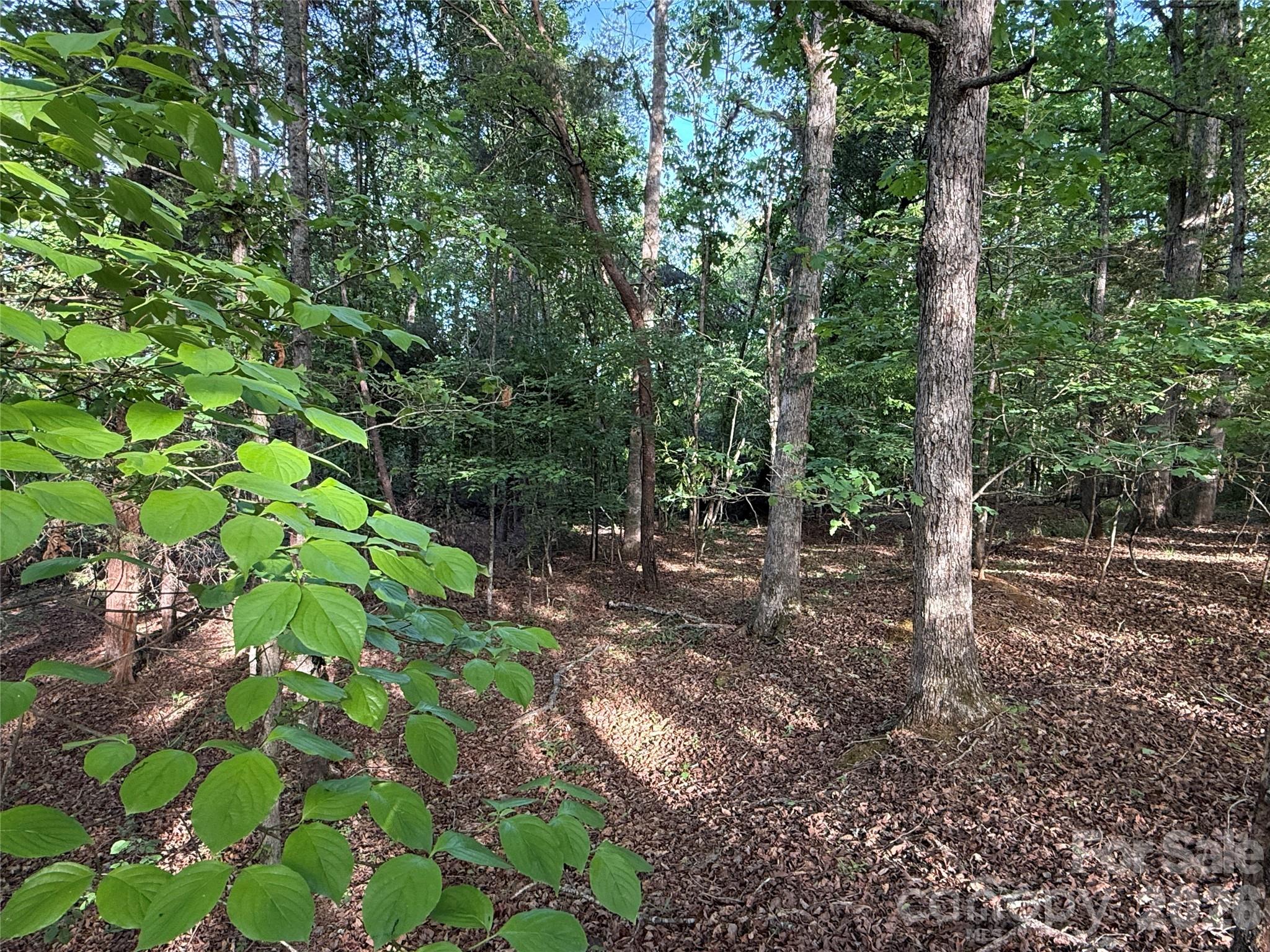 0 Shenandoah Drive Spindale NC 28160