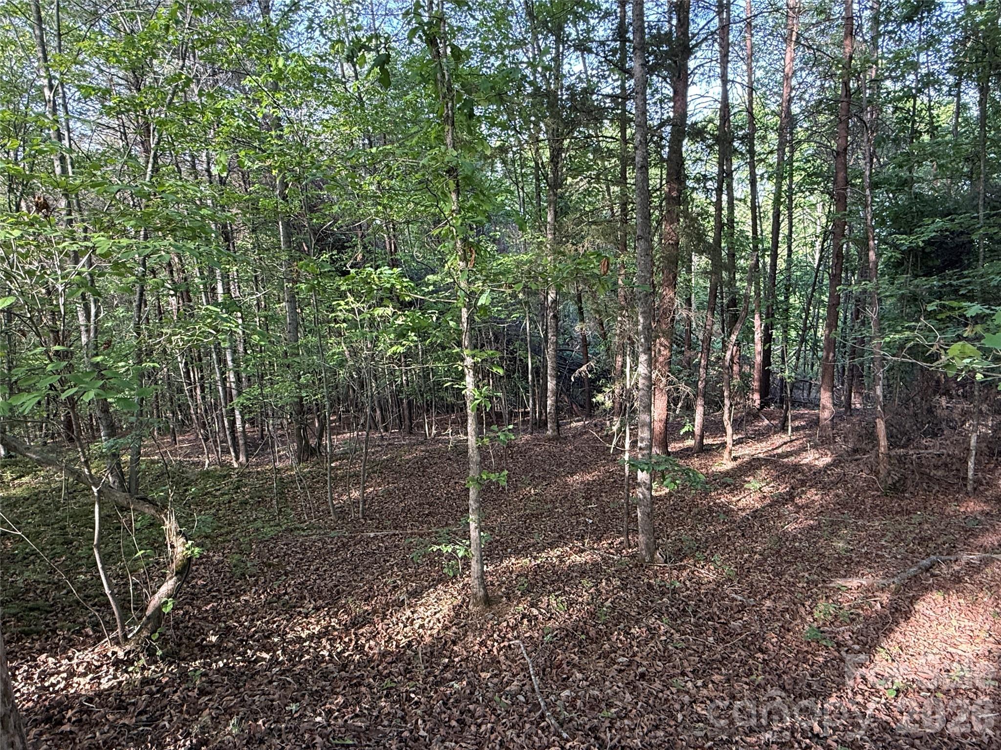 0 Shenandoah Drive Spindale NC 28160
