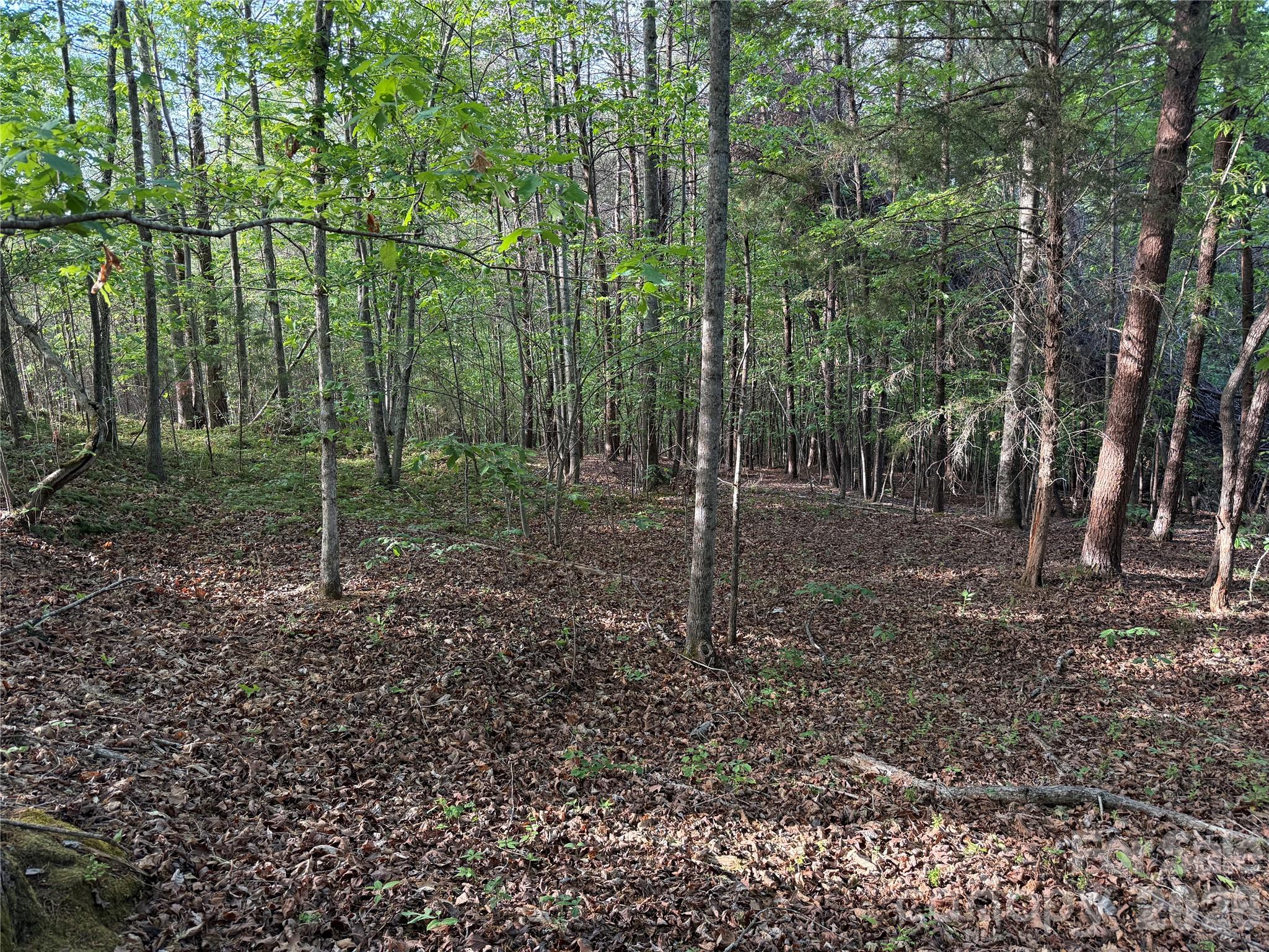 0 Shenandoah Drive Spindale NC 28160