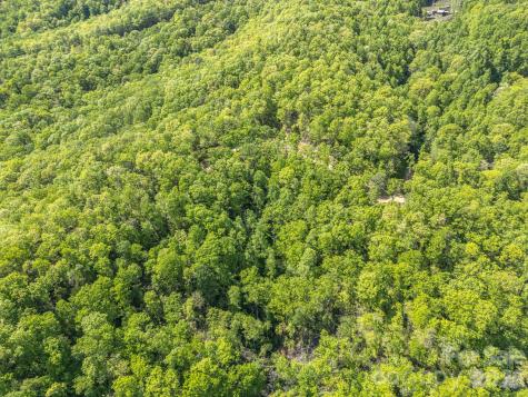 10.1 Acres On Old Fort Road Fairview NC 28730