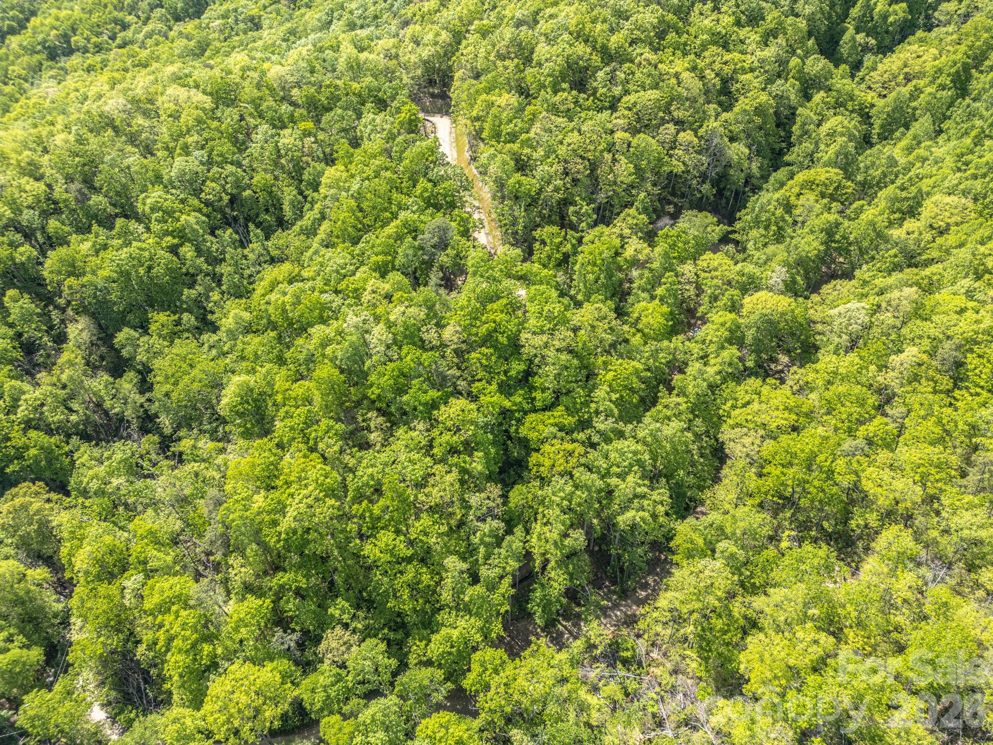 10.1 Acres On Old Fort Road Fairview NC 28730
